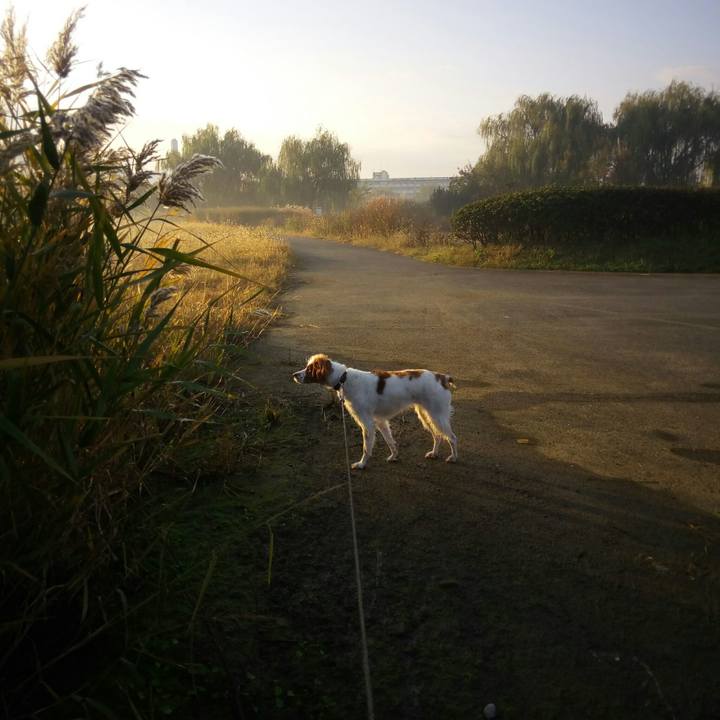 156099bb b5ec 4ce2 9018 97171b943a97 1511743053916