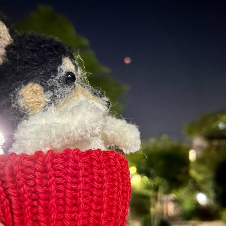 1560a6d6 0215 40a0 8859 534b43919aac 1667904869948