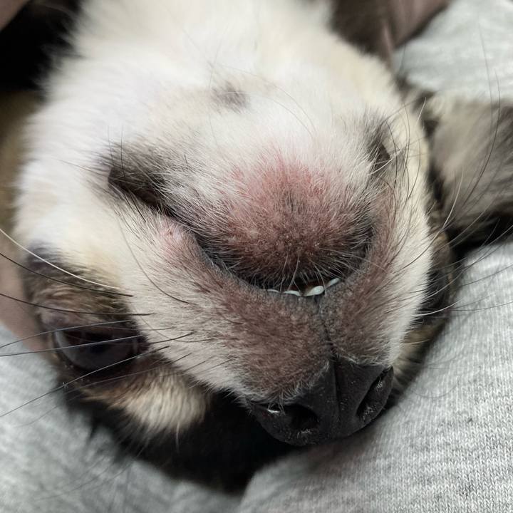 1560ae3f 5e1f 4ef9 94d5 5521fe89e79b 1682222719324