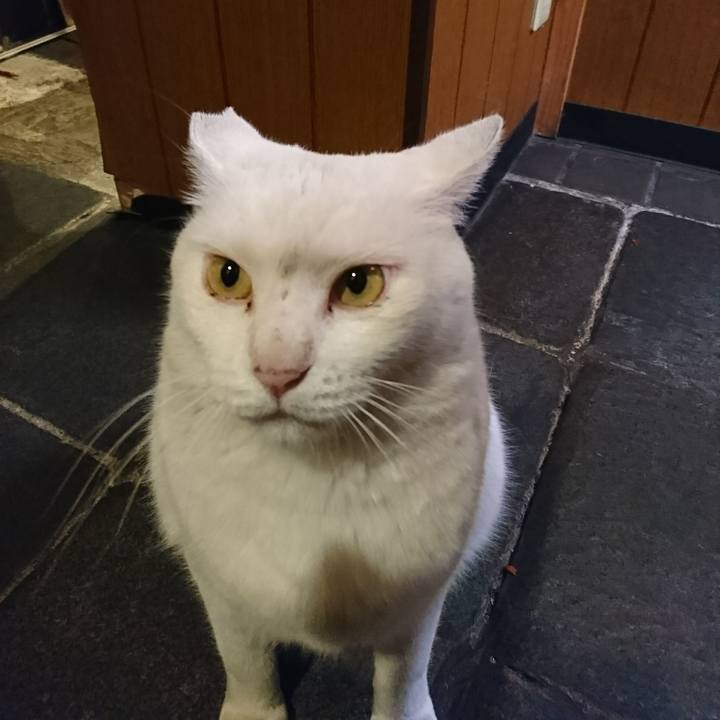 1560bde2 ec29 4c91 85d7 b16a829f0742 1562832627623