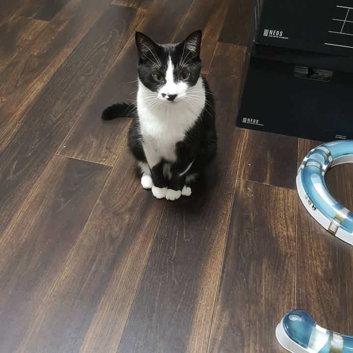 1560c742 3c0f 4efd 9a8f 1911927e6206 1542771829537