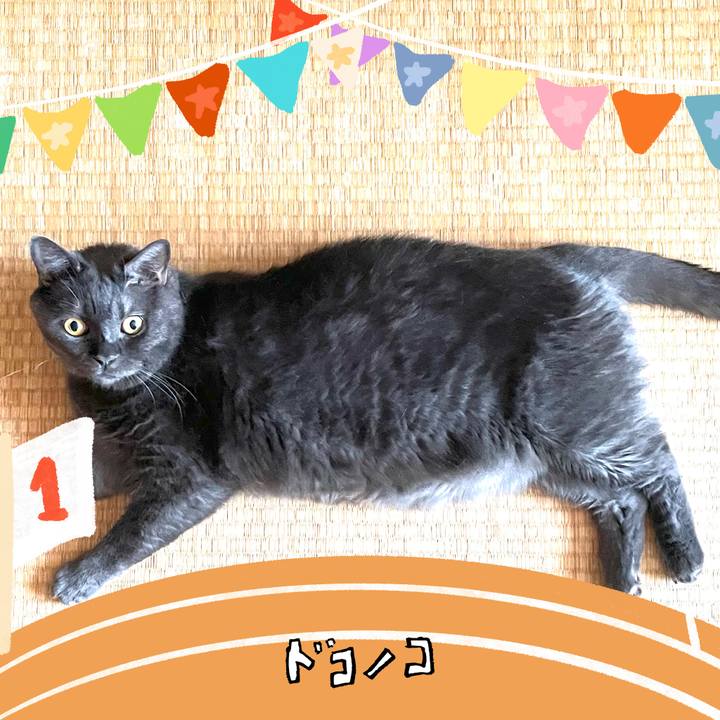 1560f6c3 0665 489a 8984 b28fa15d9a5b 1761608779293