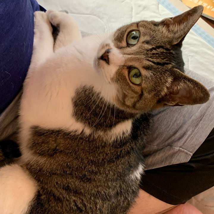 156150d7 61b5 45a1 8639 1f8c6ad45704 1591578803011