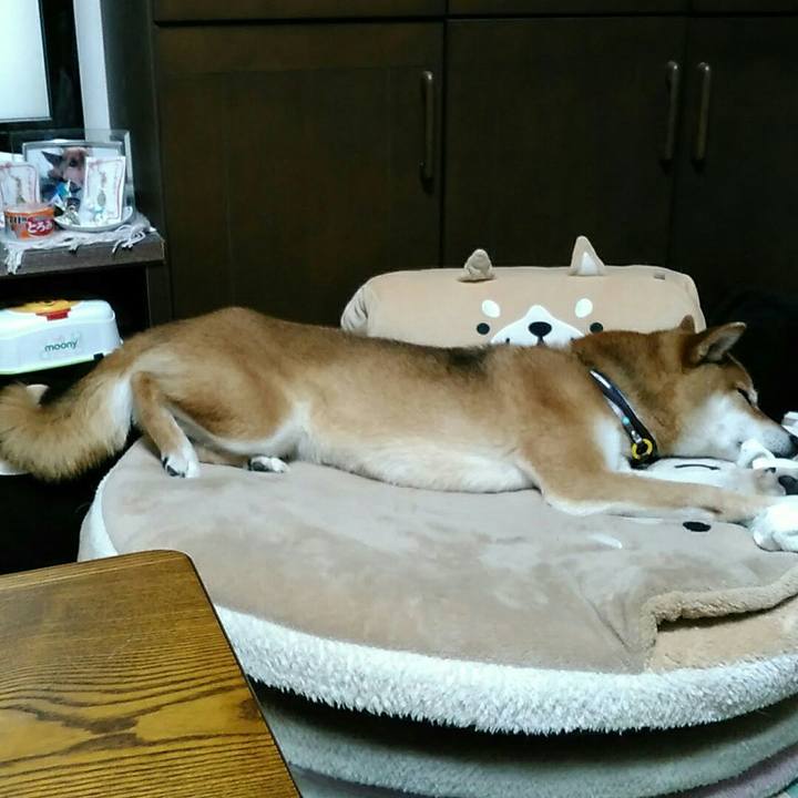 15618e08 bff8 428a aad1 8f57bf80ed4b 1563284102970