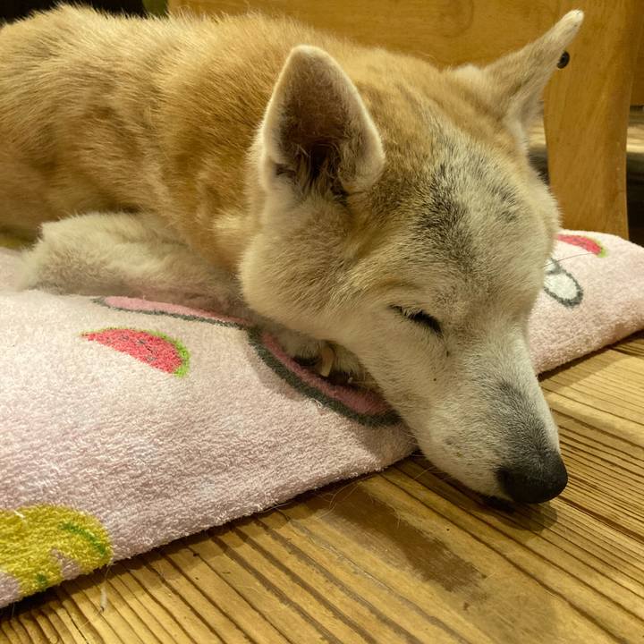 15624777 df8d 4545 9ae8 b25c600350ae 1594042783978