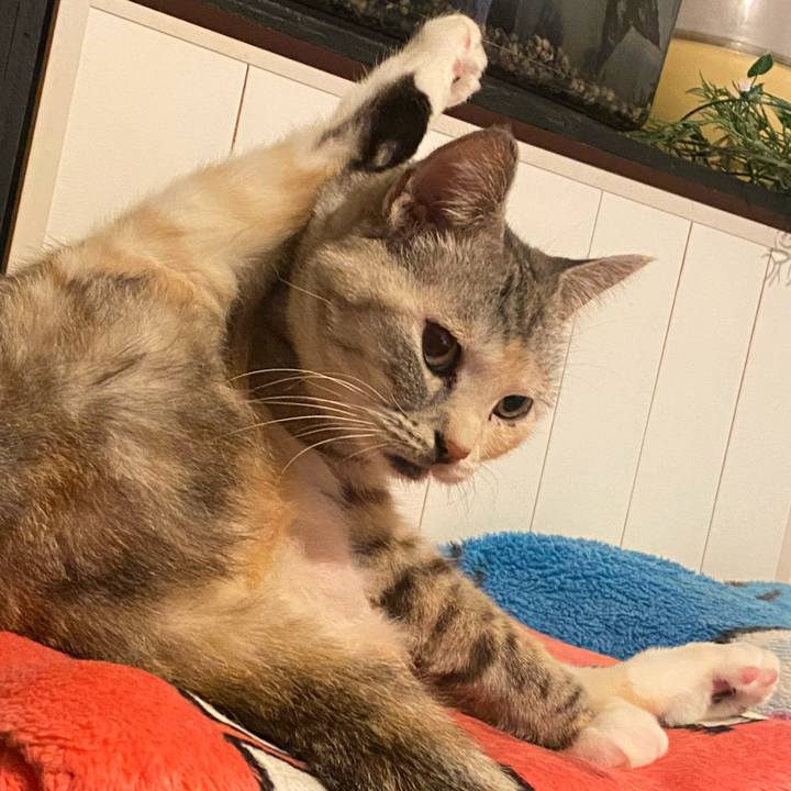 15625b98 4814 4223 b3cb 94e64a06cbec 1637501352670