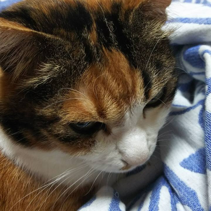 156267fa 677c 41ce 8bb3 0811cf102742 1528667466470