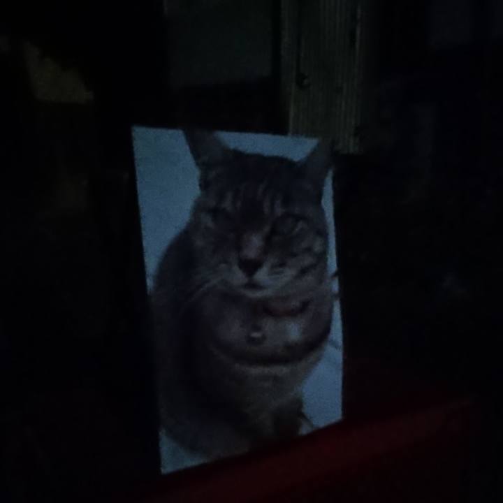 156269ad 5a9b 4559 893e dabf209edc8c 1632220937025