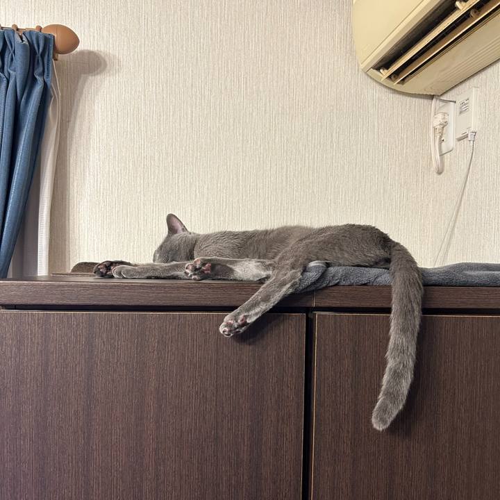 15627aff 5763 4599 be7e 77a412abdf16 1701041483010