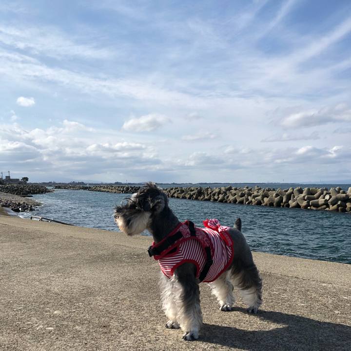 15628364 5d62 4656 91c5 697bcfef8dcc 1573993544430