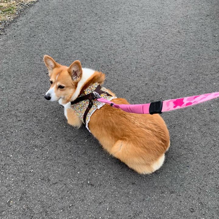 156288a5 5ad0 4f3c 9b8d e632e6f035c7 1677202573237