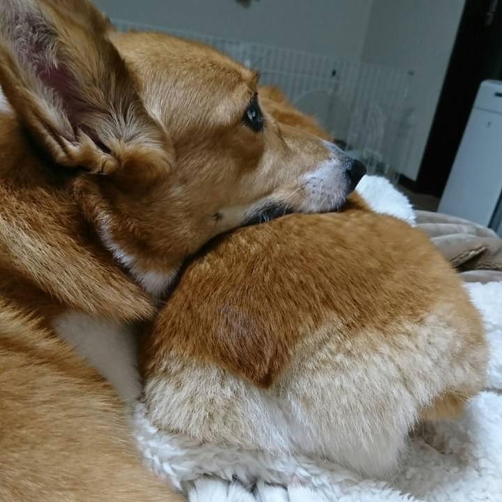 156296e1 afd0 438f a9d9 bb149c825ffe 1548065141330