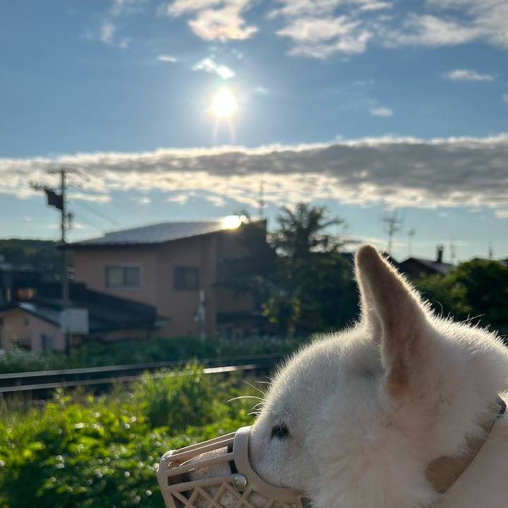 15629984 599b 4b7c b936 a9bfd7cf48ec 1687208175790