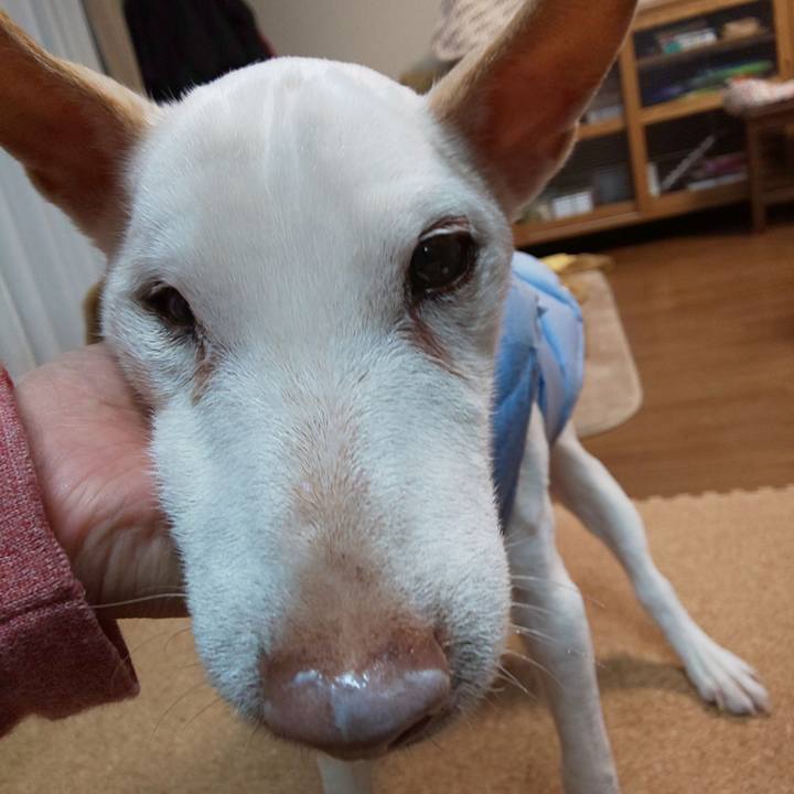 1562dacd 2369 41bf aa94 90da7fd50f4e 1549668468361