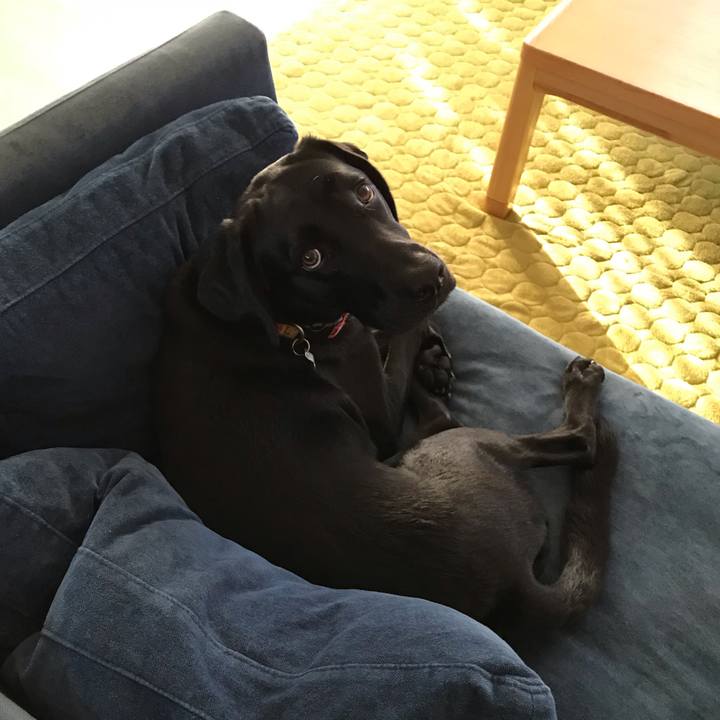 156324cf 384d 4c66 8a95 bcd3d29a8dff 1540518503356