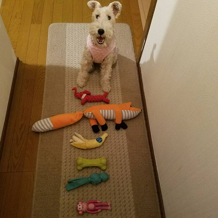 15632e97 65b9 4d91 857f cc6f495a19bc 1510403651713