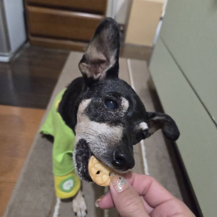 15633720 bc34 4207 9e62 21dbd199f3e1 1758397154381