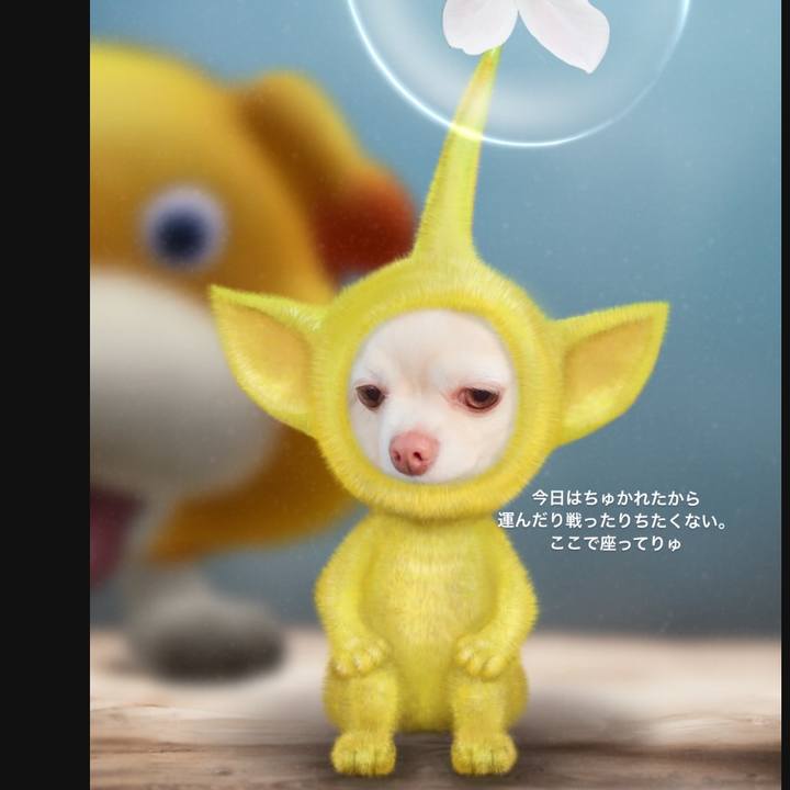 15633f13 64e2 492f 833c ab56f2ed6d7a 1715948172011