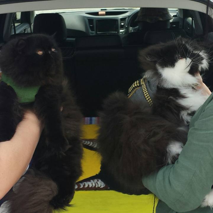 15638539 e7b7 42c6 9f27 cf49cd10a938 1525058103194