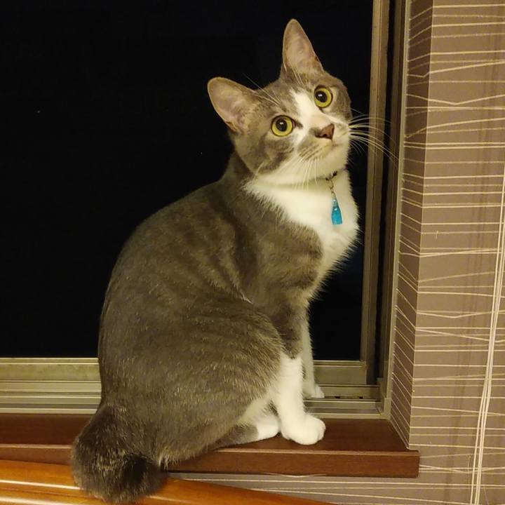 156385dd fbc4 45bc a342 0fc4c699dbe3 1593268096437