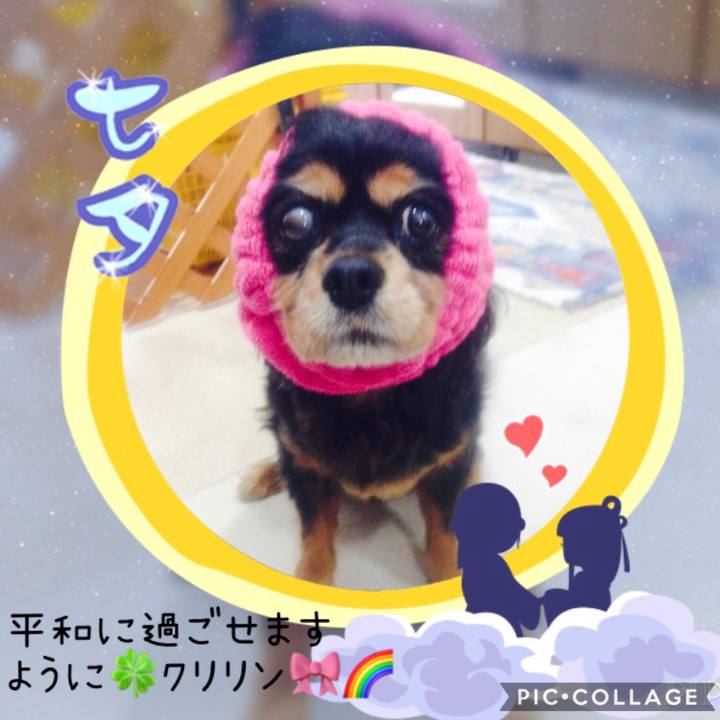 1563a38f 61bc 4e7b 9f59 1d56d189fc5c 1562426226699