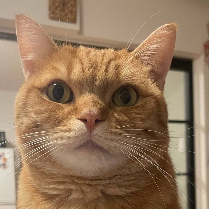 1563ddf2 d748 4373 b378 f20f67b31294 1765841785931