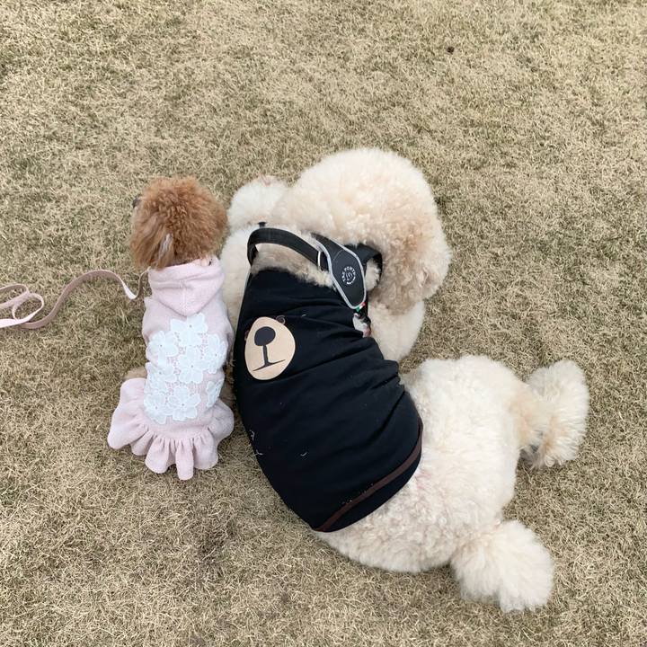 1563e0d4 dcf4 4440 8bed 62e7fb064559 1773019813752