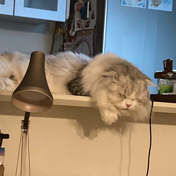 1563e360 fd3b 4da8 85f0 c6f41c23c307 1631366273109