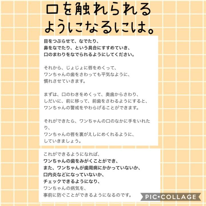 15640d7a 6848 4249 9b24 c8c23d3da048 1560947280596