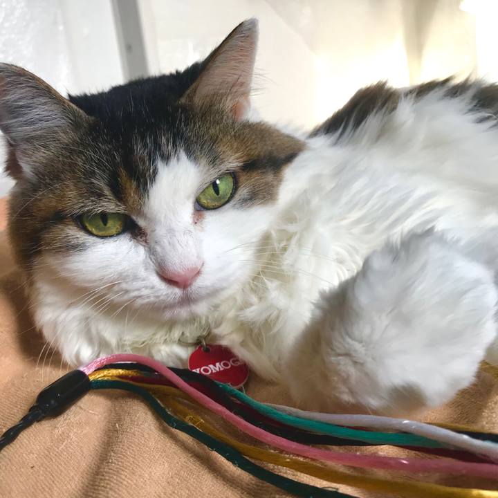 1564116a 698f 4034 9633 4cb27975ddda 1576076452713