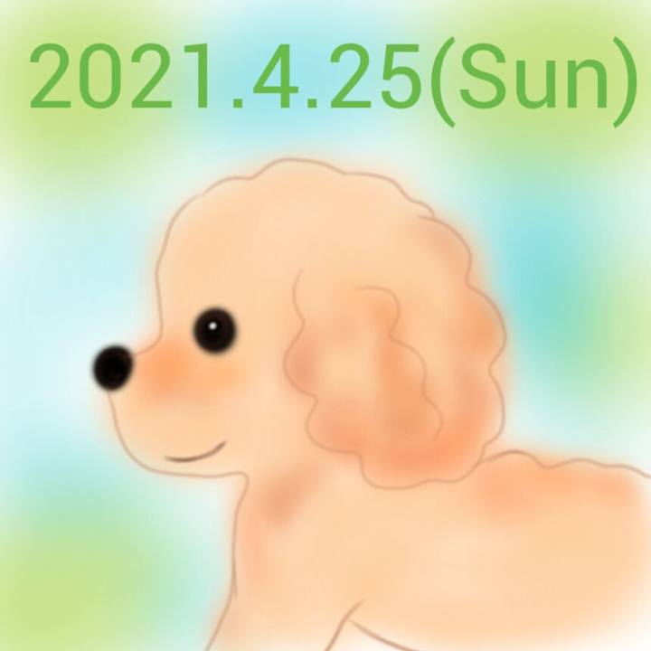 15644050 9fdb 41e0 bd51 fa191885ba12 1619349271416
