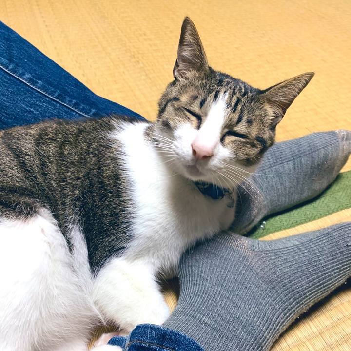 15645d3c a107 4bf6 97b7 30ac89c49b99 1571749053896