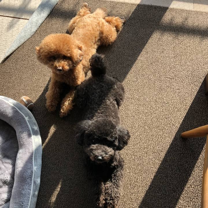 15647b19 999c 4538 8ec3 0c919a5b507c 1581220368962