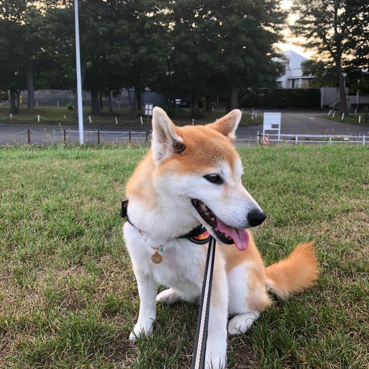 1564beba a8ee 4153 b5c5 7b80b4b25dbe 1597570130615