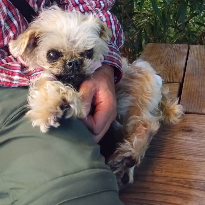 1564bff2 f139 4afd adff 7017634636a3 1749201674763