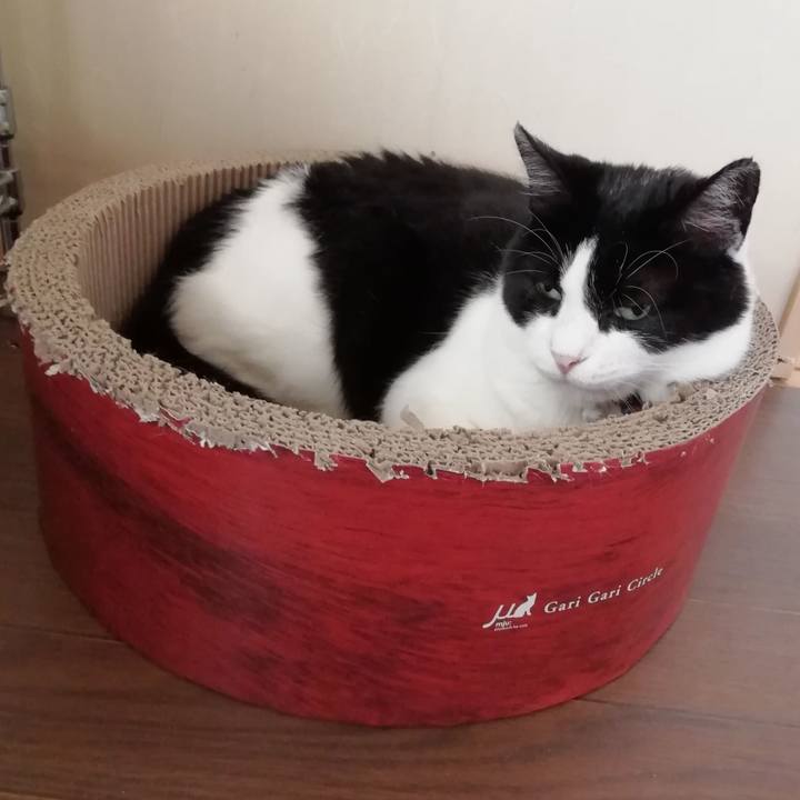 1564d4b8 d1cd 4a7e 81f5 bb0a68554b25 1570608890240