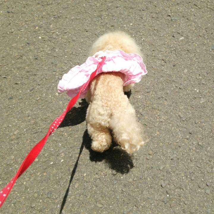 1564e1b7 10de 41e4 8afc a852c469ceff 1559118236913