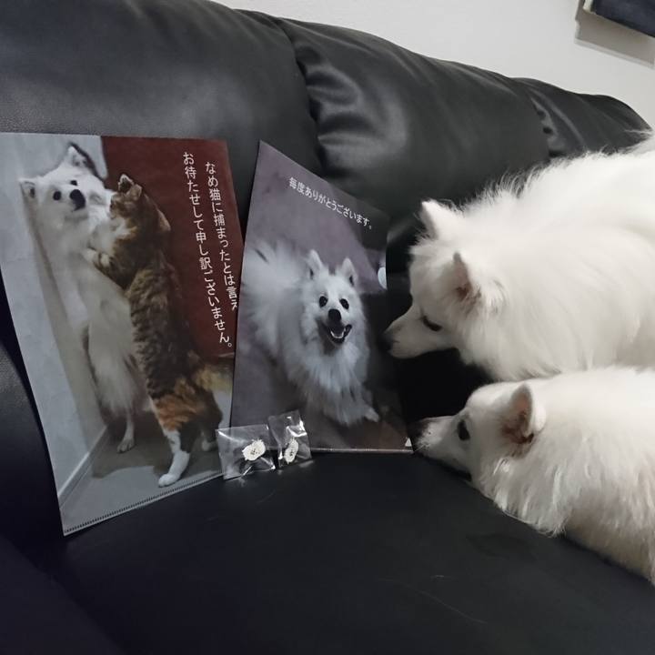 1564ee09 68f2 4791 a446 6432c0877dcb 1578401892102