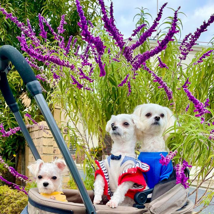 1564fab4 6e71 4af7 b0ef 2382b6a9eb4b 1638845365966