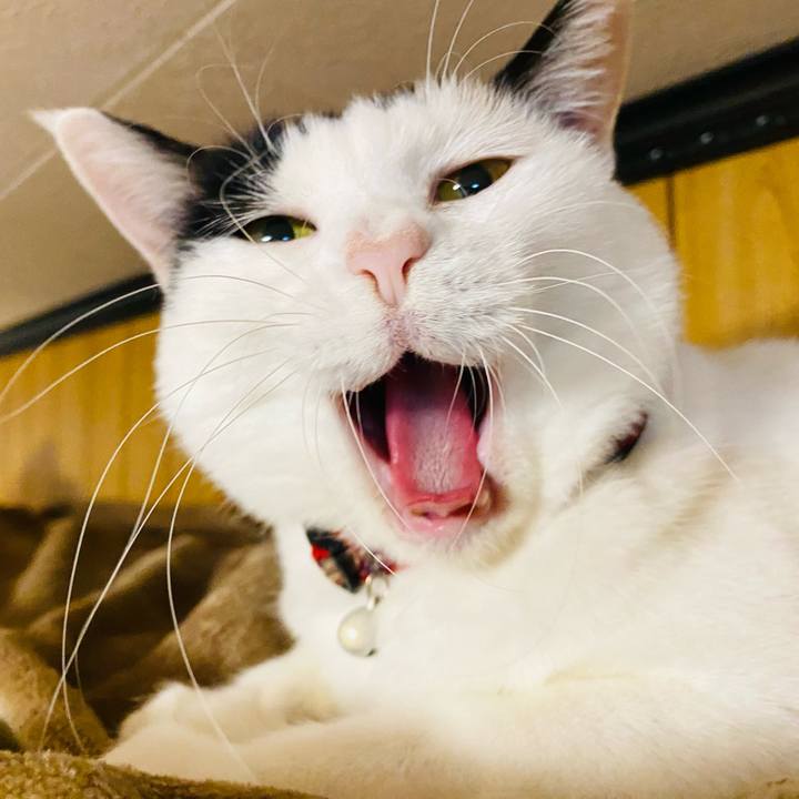 15650f80 a7a2 49a8 a791 538a0c3d1118 1670276965076