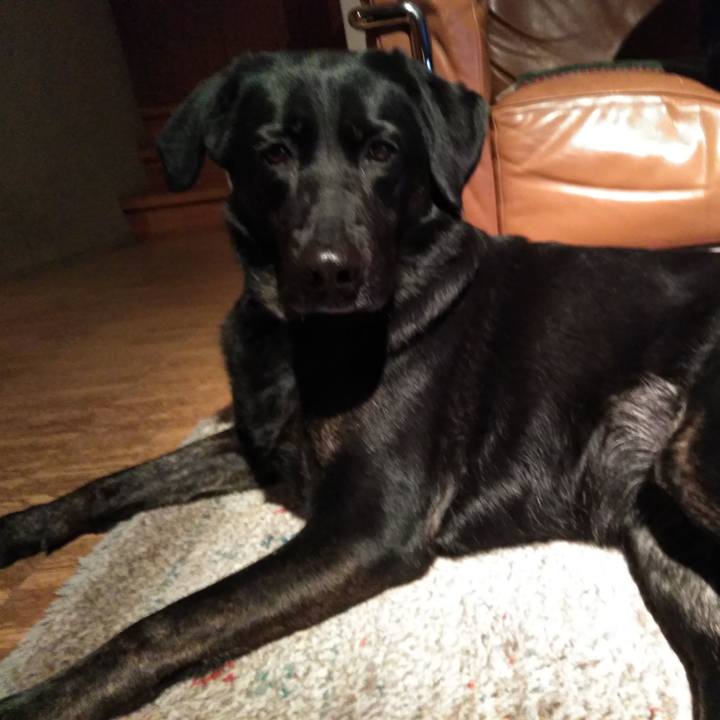 15651479 cbd5 40e5 b640 27e3364e6489 1581153520309