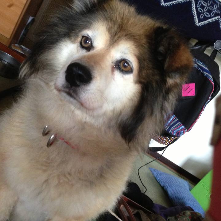 15653241 30b4 4634 9890 0f7553576dbe 1560275282106