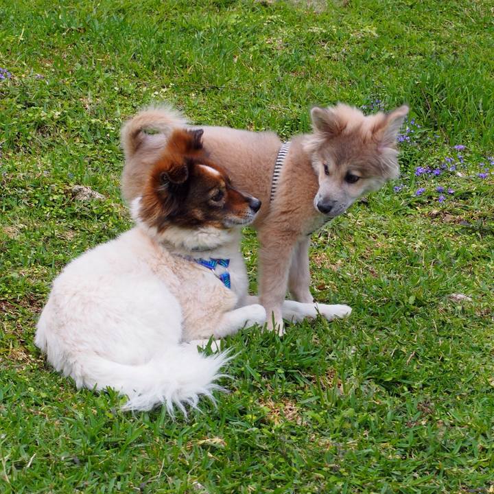 1565afce 21a5 4653 bbec 7d3722d93150 1521011008801