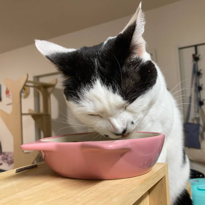 1565fe45 7a28 46d4 ae11 4ce5a0ba86be 1766437816259