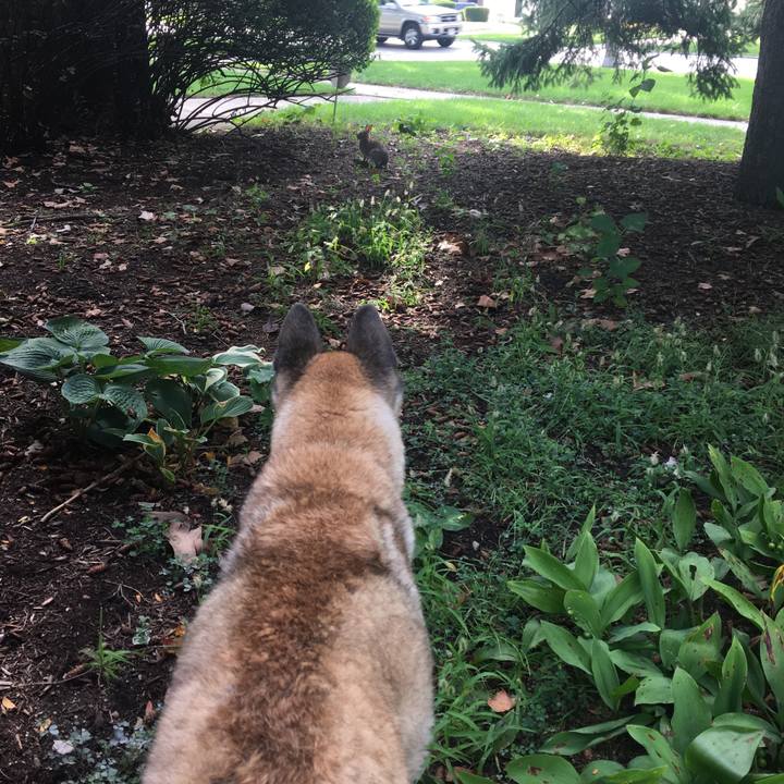 15660b64 a703 439e 89a1 6926298fa591 1535932856510