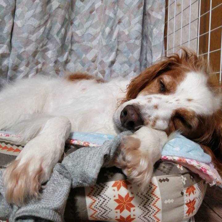 15661c0b c289 4c32 9d3e 5901827f903e 1625925032911