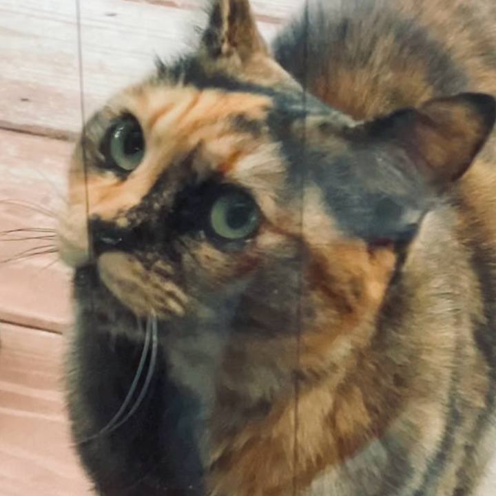 15663323 aee0 406c 8138 199b843f3e68 1735473448743