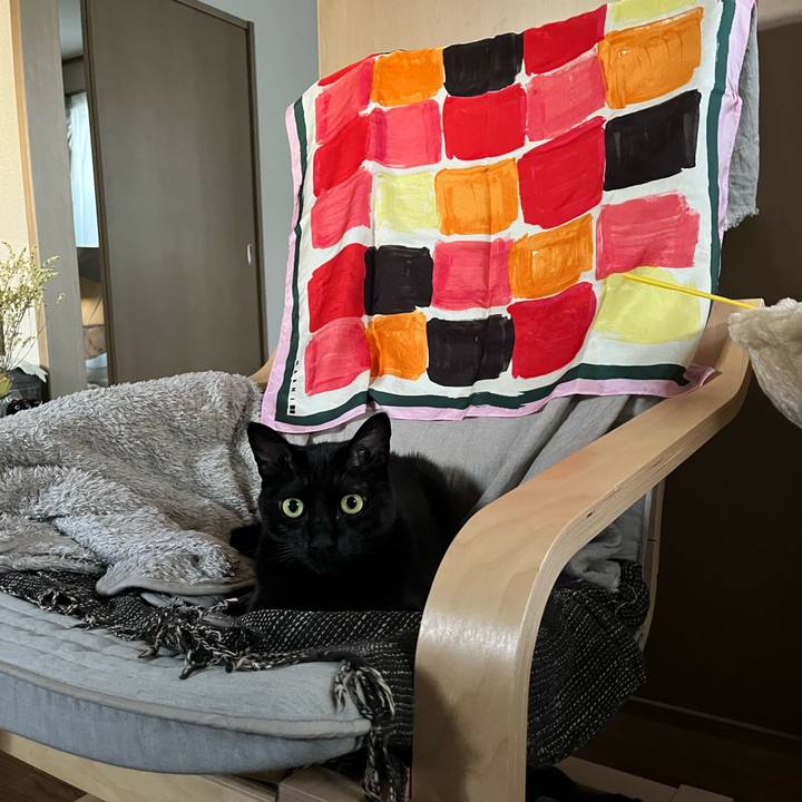 1566365a 18fe 4d2c 93ec 4df45cc9b478 1695775026210