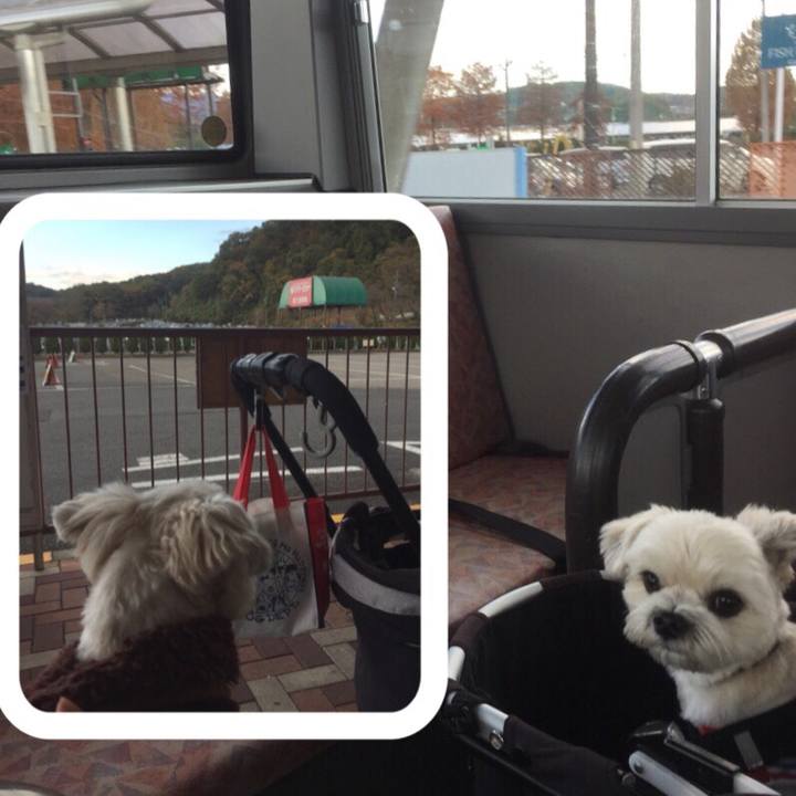 1566551f b458 420d b2a6 6d3ea2c66e55 1511349989837