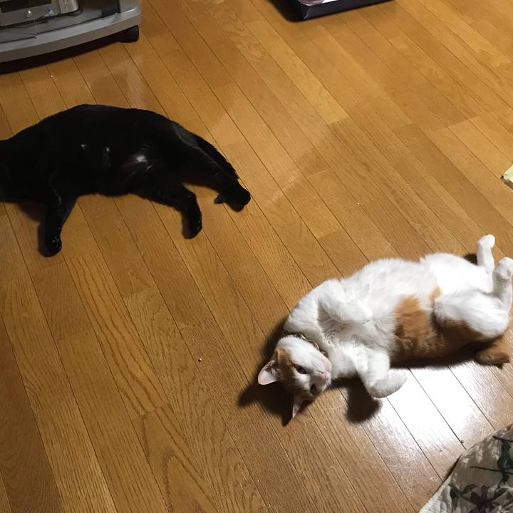 15666094 e482 42cd a158 c09f1675d2fe 1619520566501